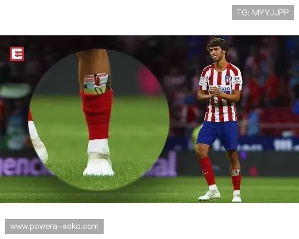 足球袜球星同款价格揭秘与购买指南让你轻松拥有专业装备